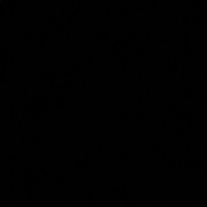 Meet your Posher, Paulo